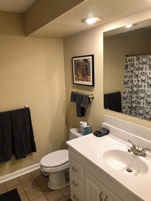 Bathroom - Your World Cup HQ: Great Location! Private 2BR Duplex, 20 minutes to Arrowhead. (Overland Park)