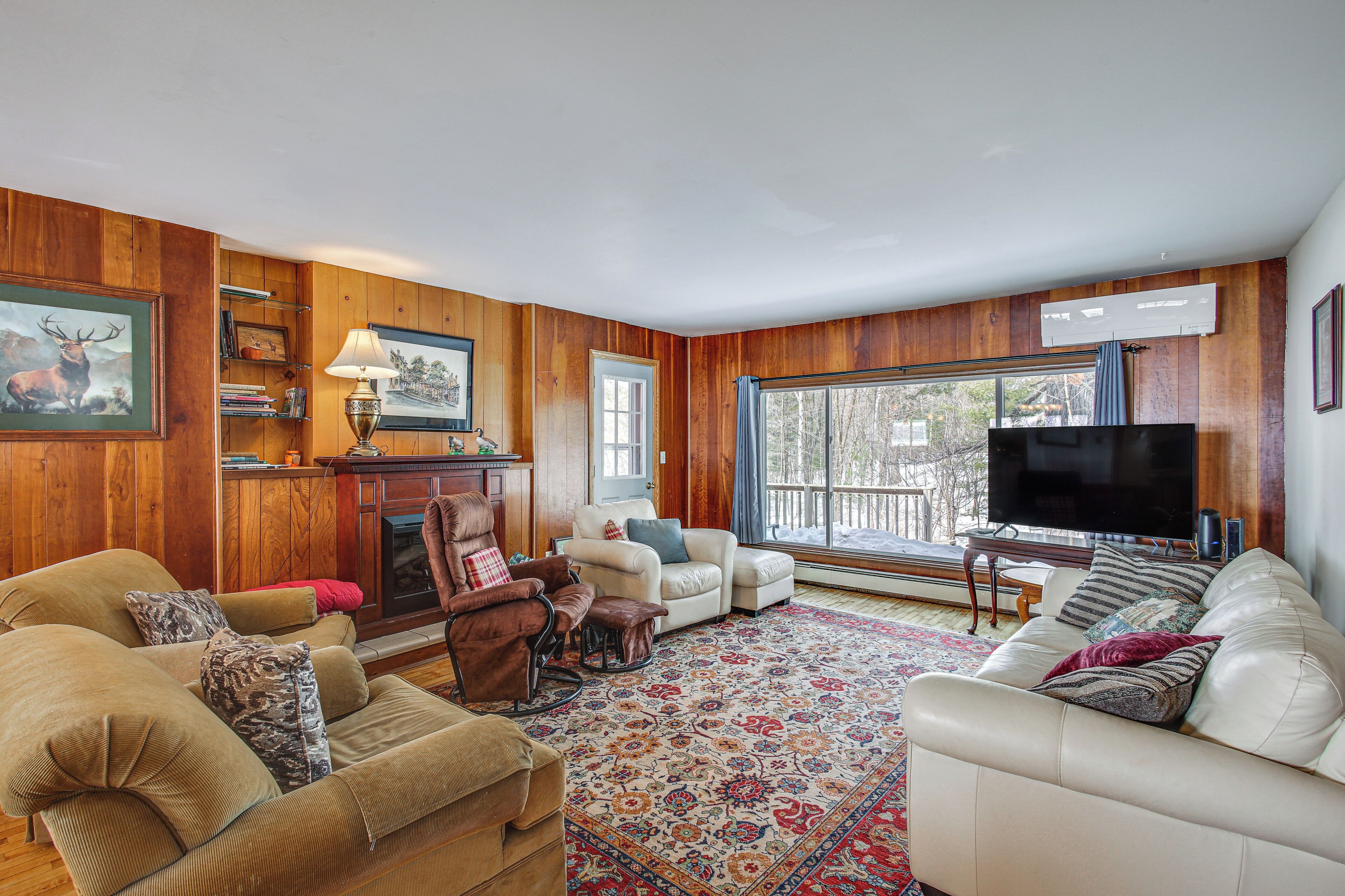 TV, fireplace, books