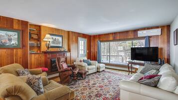 TV, fireplace, books