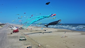 Una spiaggia con un grande aquilone a forma di balena, un golf cart e una fila di auto parcheggiate sulla riva.