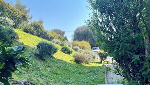 Vista su un giardino con una panchina, un vialetto e un veicolo bianco in lontananza.