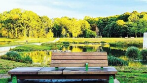 Um parque com um banco, um lago e árvores.