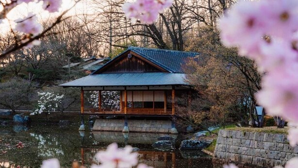 Um edifício tradicional japonês com telhado de cerâmica, estrutura de madeira e reflexo na água.