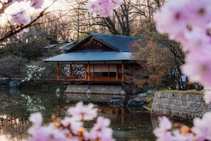 A traditional Japanese building with a tiled roof, wooden structure, and a reflection in the water.