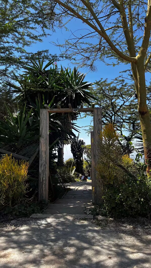 Un sendero atraviesa un jardín con diversas plantas y un arco de madera.