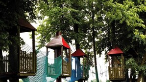 Treehouses with rope bridges and wooden platforms. - Dworek Dębówko Jadwiga Jeżewicz (Bartoszyce)