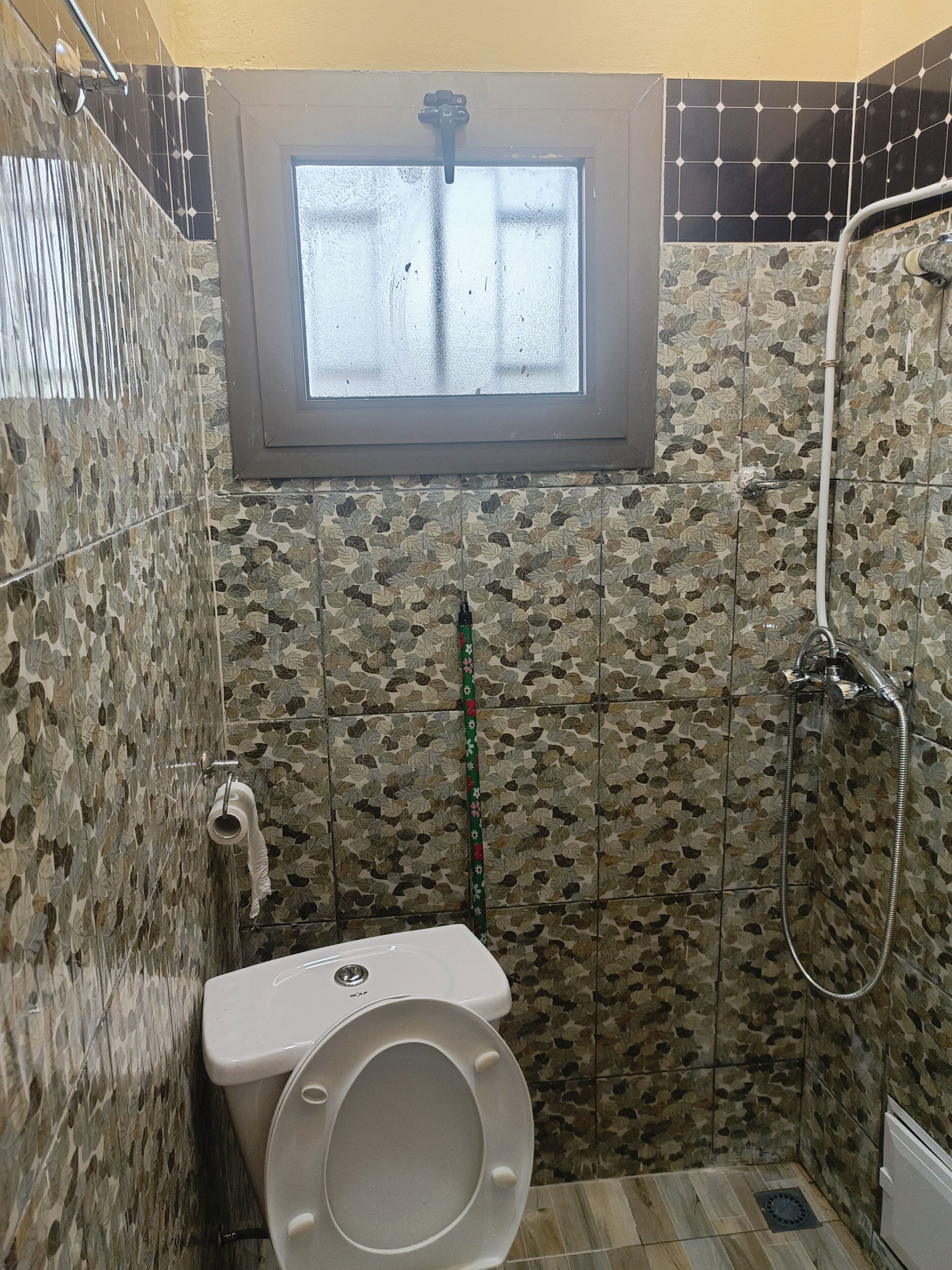 Asciugamani, sapone, carta igienica