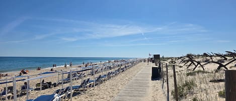 Playa en los alrededores