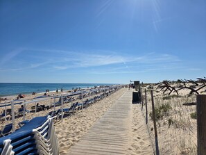 A beach with a wooden walkway, rows of blue and white sun loungers, and a sandy beach area.
