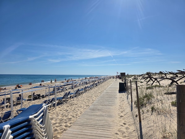 A beach with a wooden walkway, rows of blue and white sun loungers, and a sandy beach area.