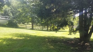 A grassy outdoor area with trees and a wooden fence. - HIdden Gem (Wallkill)
