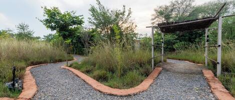 A gravel pathway leading to a covered structure amidst greenery.