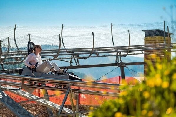 Miscellaneous - Charming 3-bedroom cottage in Hynčice Pod Sušinou awaits you (Hynčice Pod Sušinou)