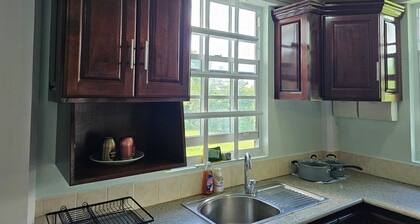 Modern 2-bedroom Apartment near Roseau