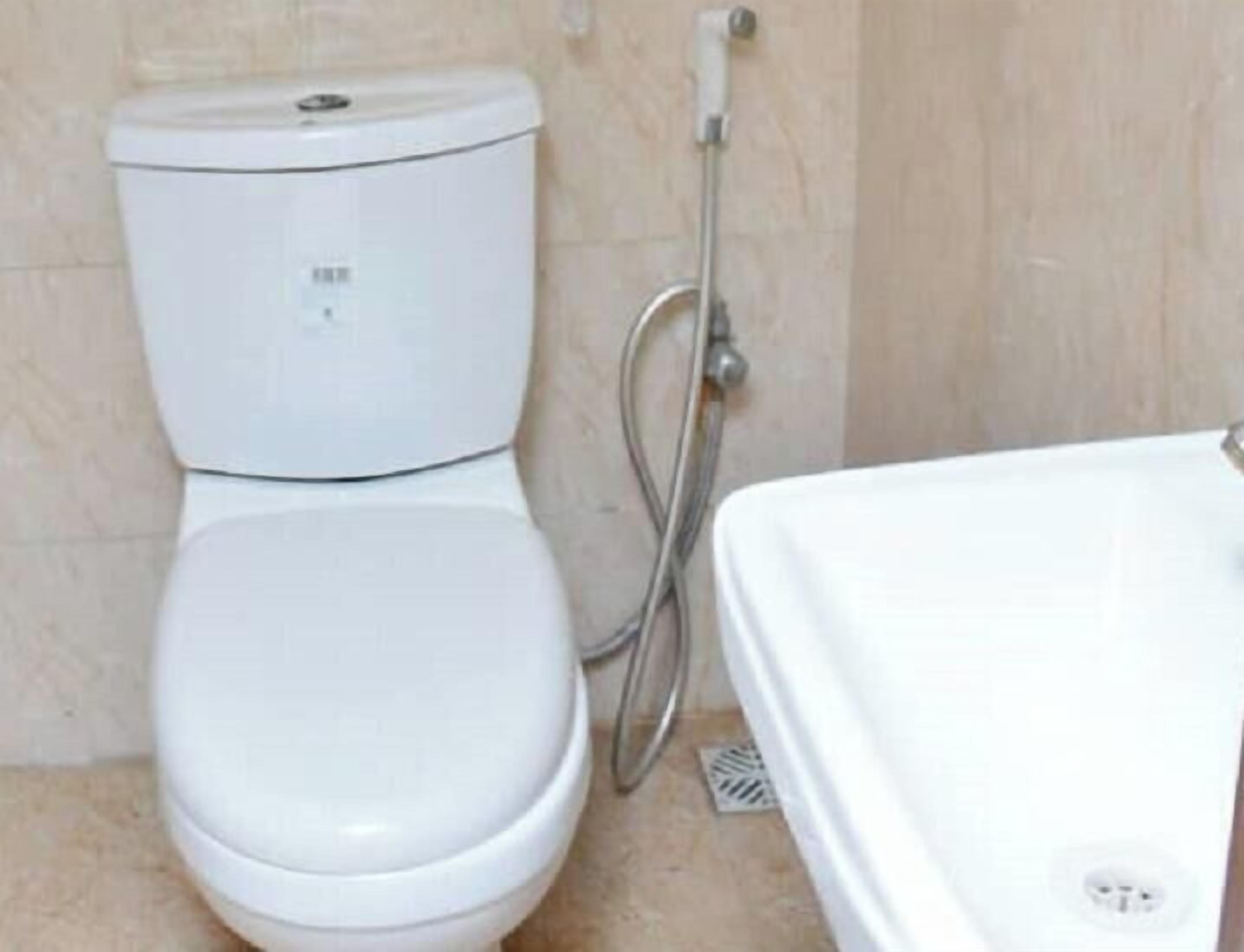 Eine weiße Toilette mit Bedienfeld, eine Duschbrause und ein weißes Waschbecken mit Ablauf.