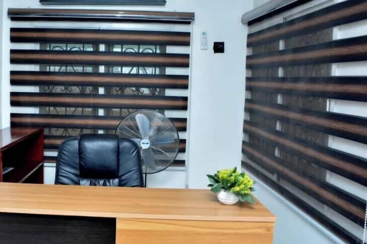 A room with a desk, a chair, a fan, a potted plant, and a window with blinds.