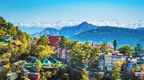 View from property - Premium Hotel A-P-S-A-R-A Grand Shimla (Shimla)