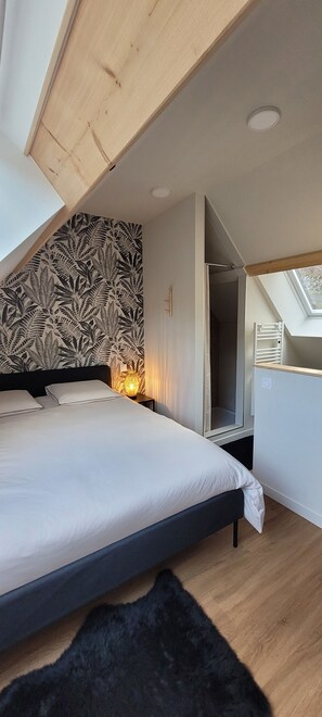 A bedroom with a bed, a nightstand, a wall-mounted lamp, a skylight, and a closet. - House with a view of the mountains, St. Jacques des Blats, Lioran. (Saint-Jacques-des-Blats)