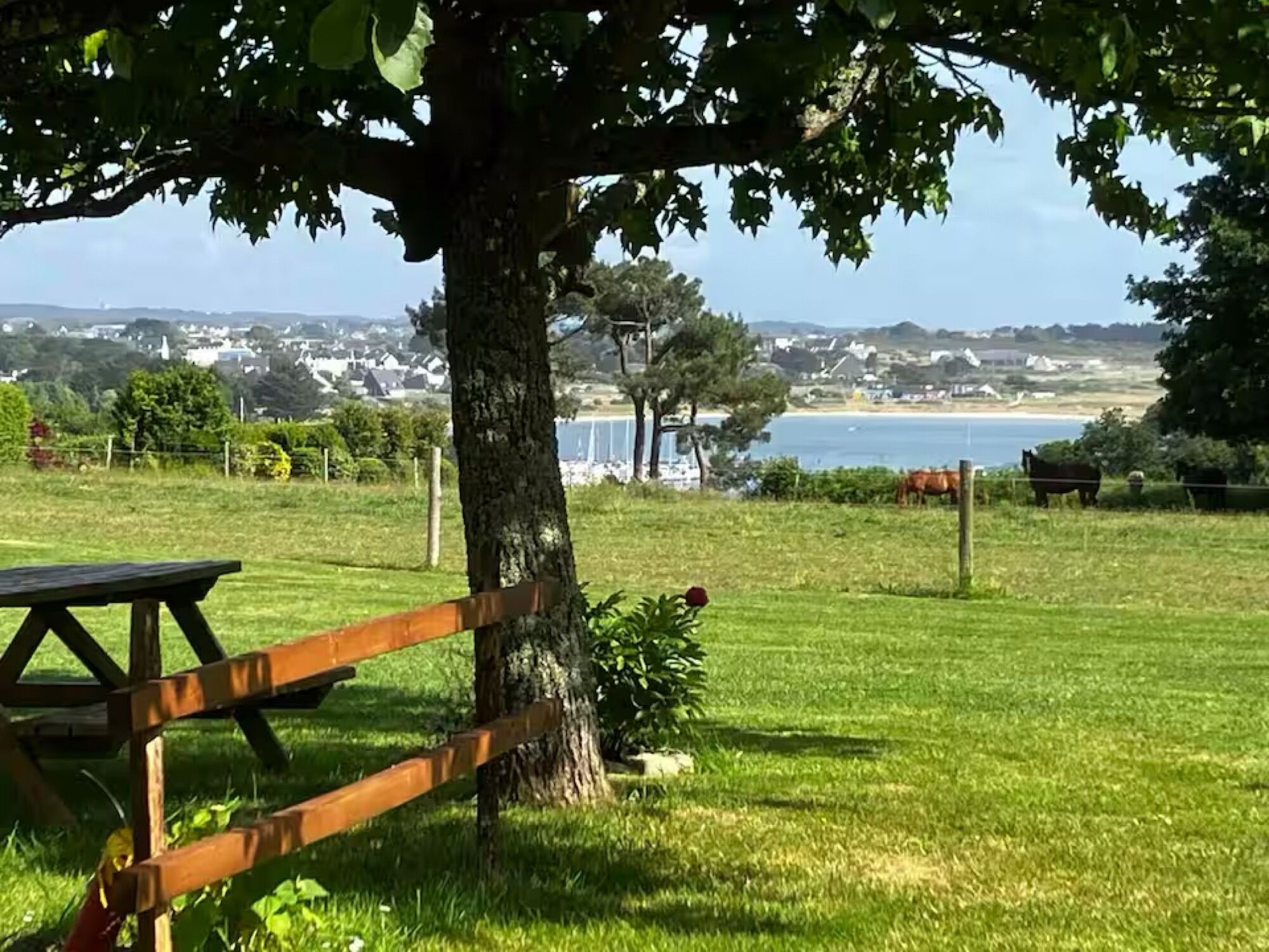 A picnic table under a tree with a view of a coastal landscape.