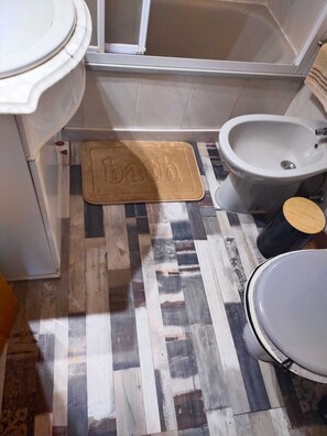 Hair dryer, bidet, towels, soap