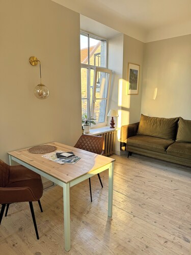 Spacious and cozy 50m2 appartment in Riga city center