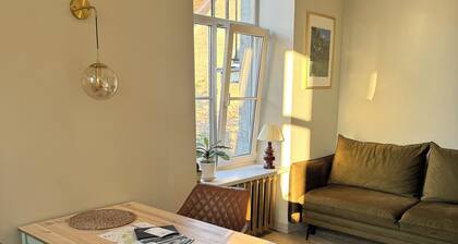 Spacious and cozy 50m2 appartment in Riga city center