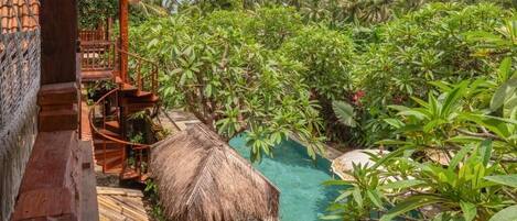 Standard Double Room, Garden View | Pool