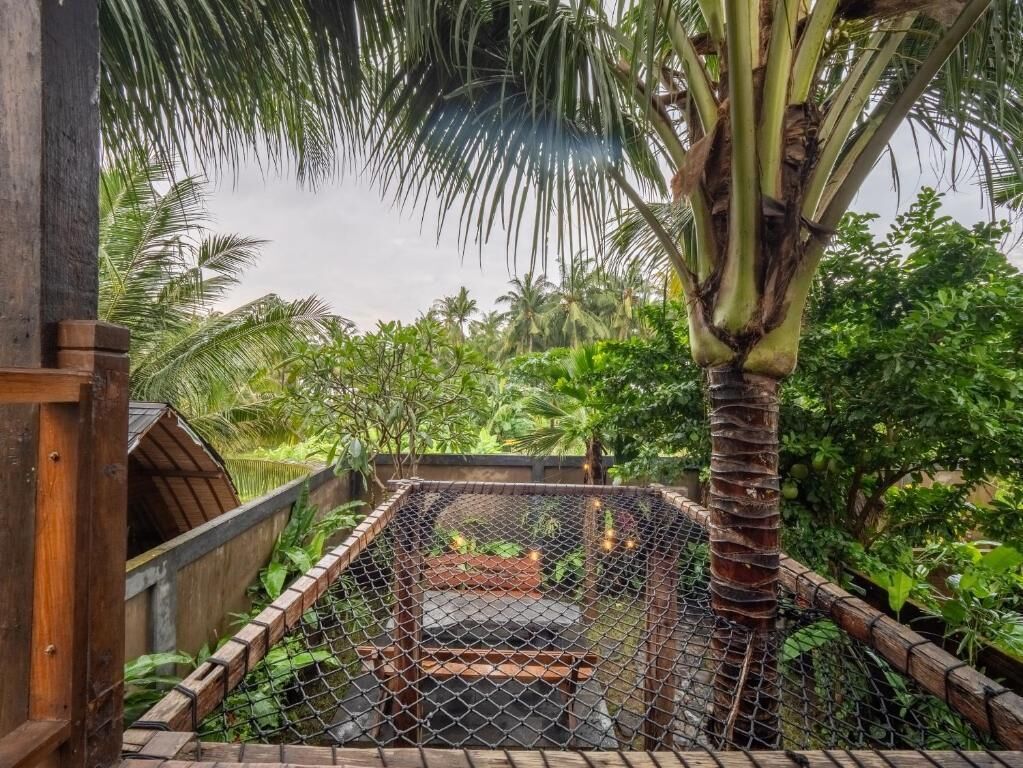 Un muelle de madera con cerca de malla metálica, rodeado de abundante vegetación y una palmera.