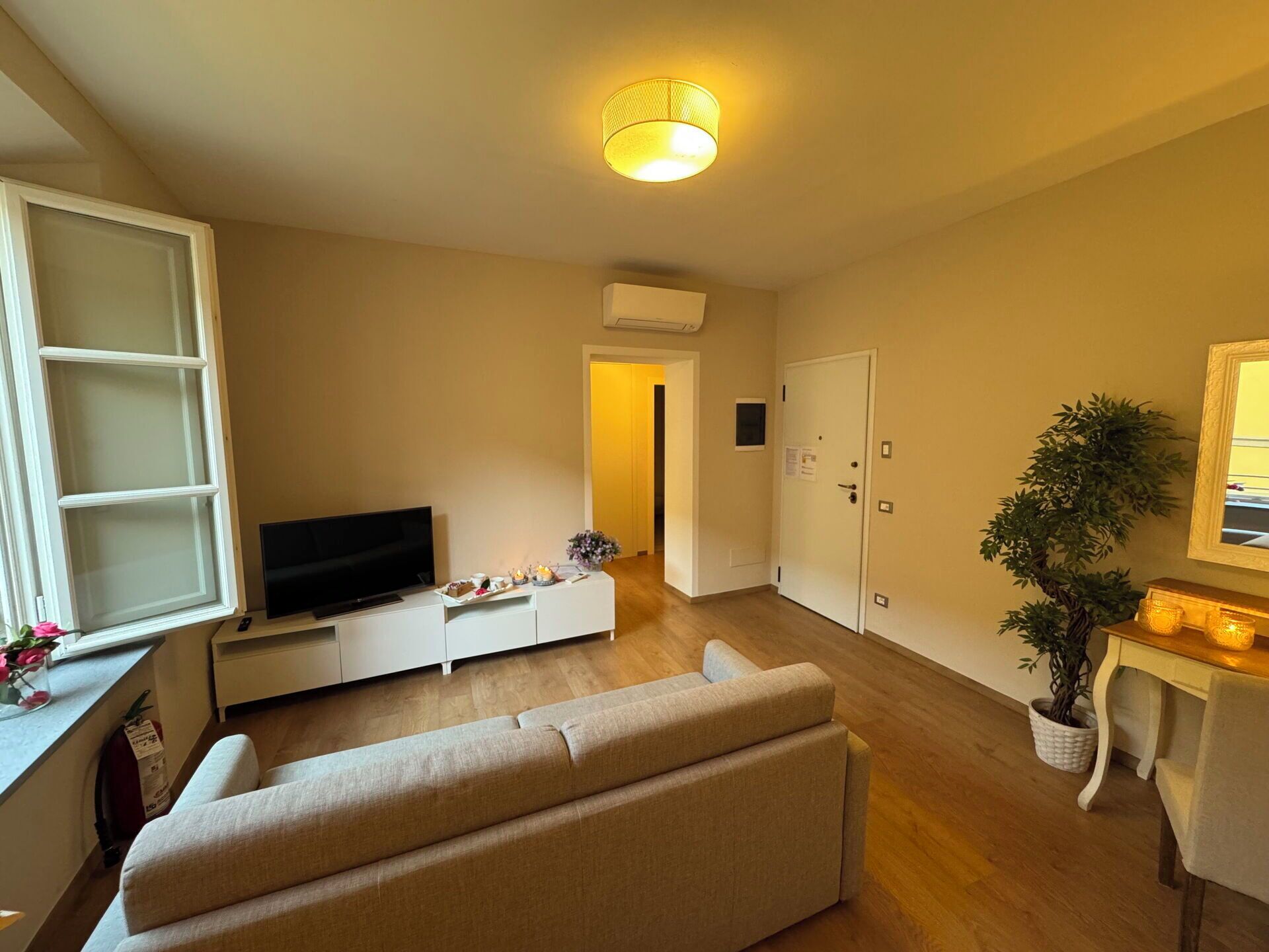 A living room with a sofa, TV, and a potted plant.