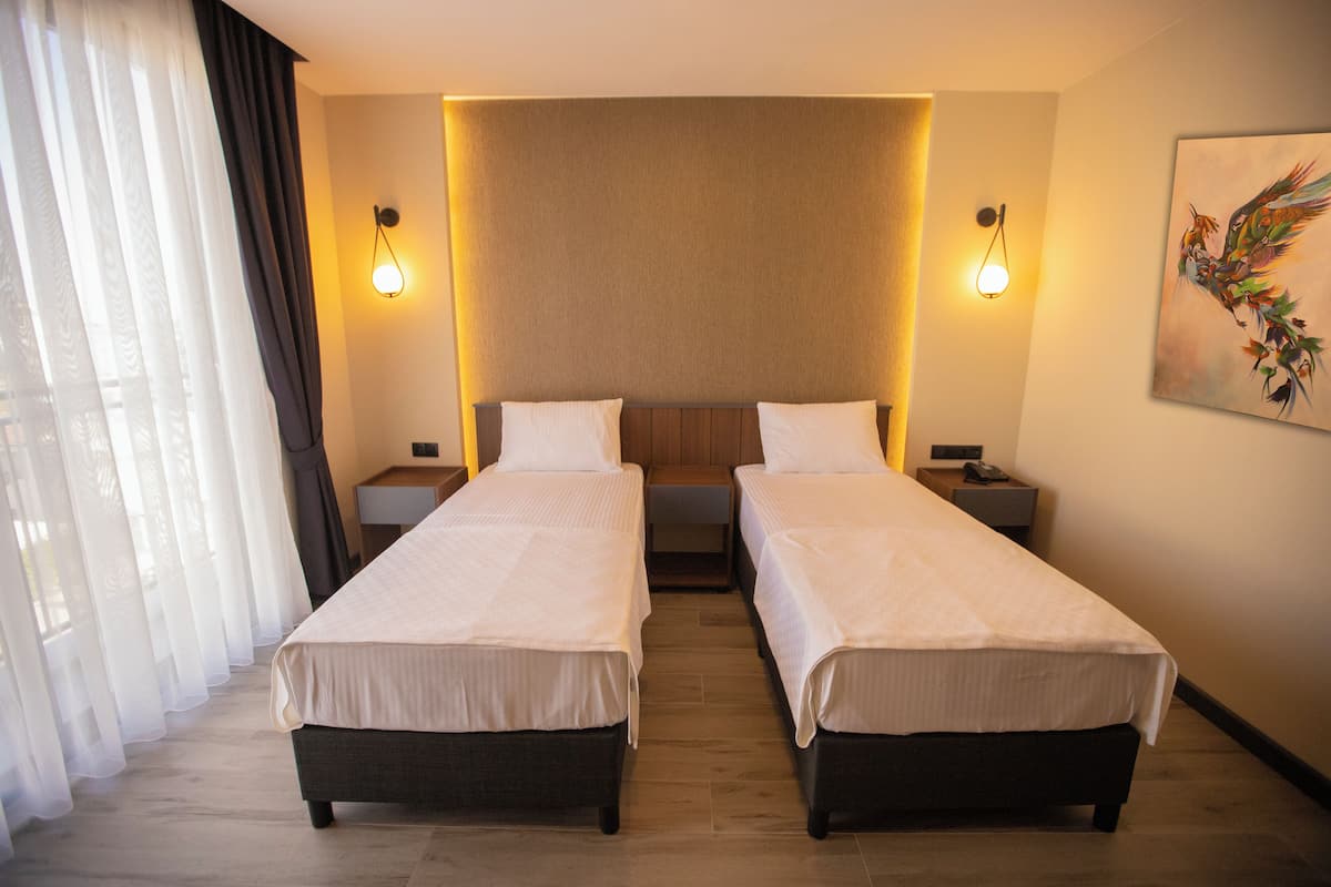 Standard Twin Room, Balcony