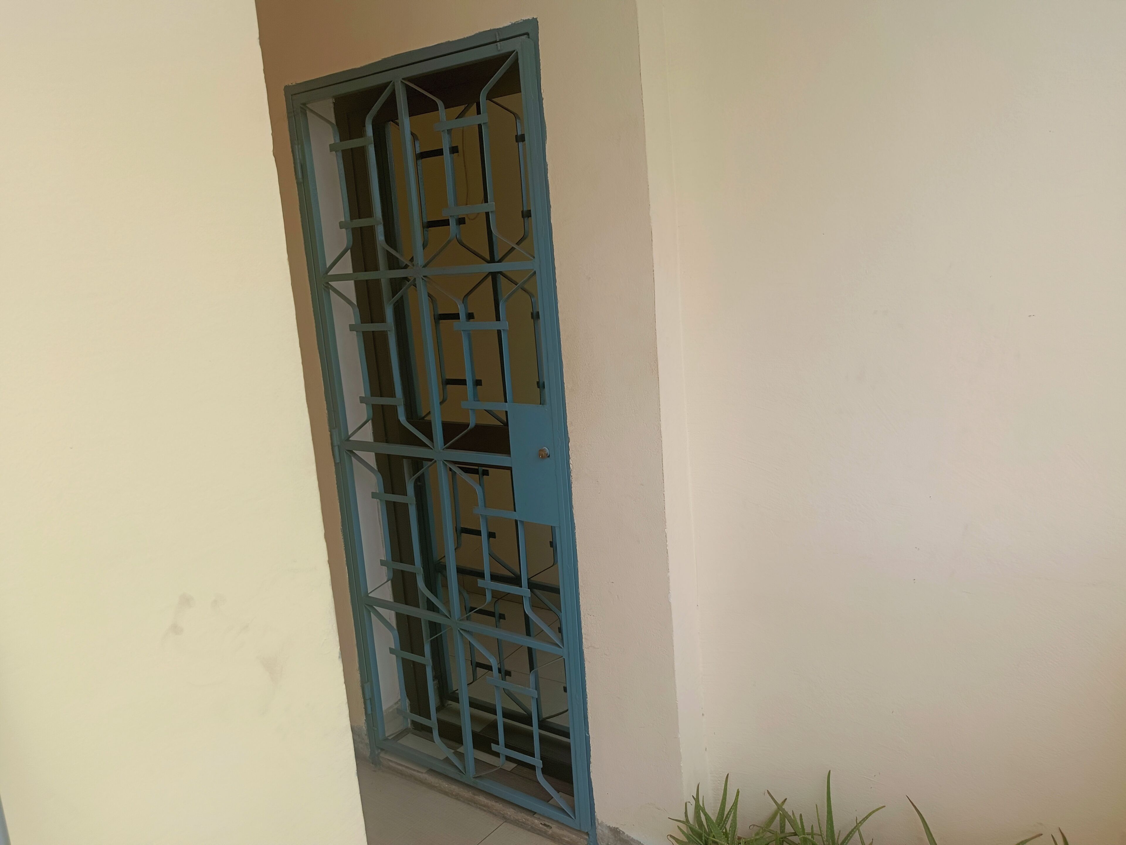 Une fenêtre avec une grille en métal, un mur uni et une petite plante en bas.
