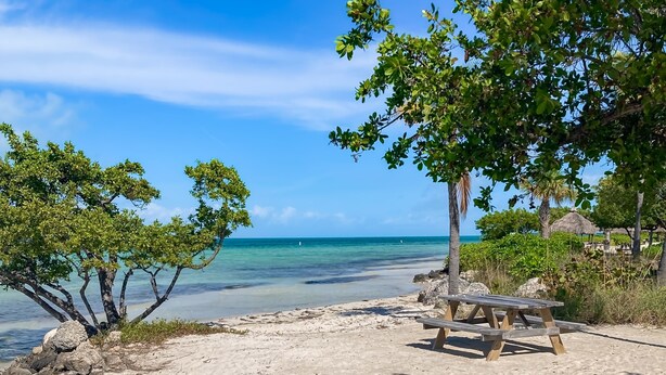Una playa con una mesa de picnic de madera y árboles.