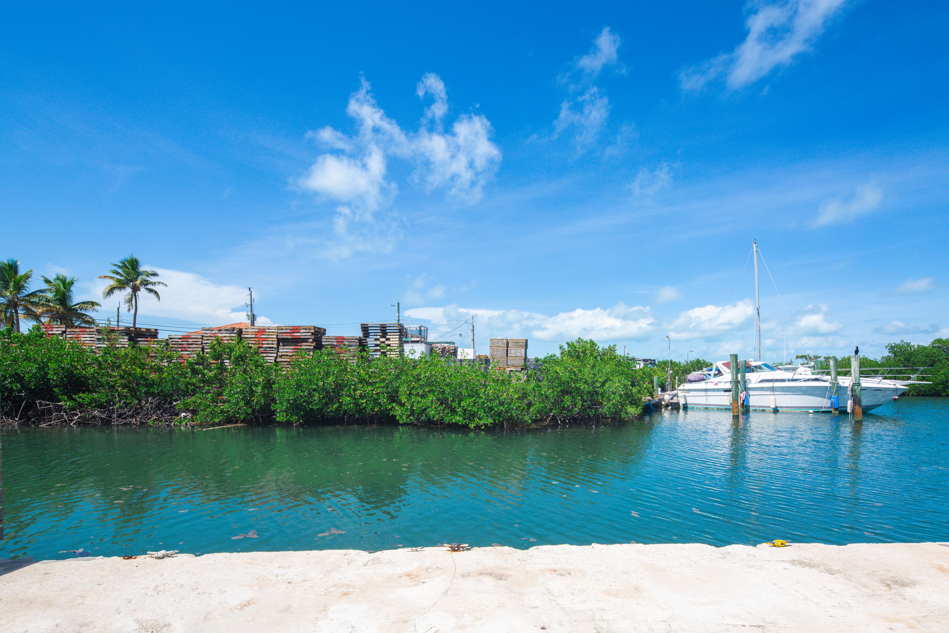 A marina with boats docked, surrounded by water and greenery.