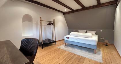 Charming duplex in an Alsatian townhouse in the heart of Sélestat