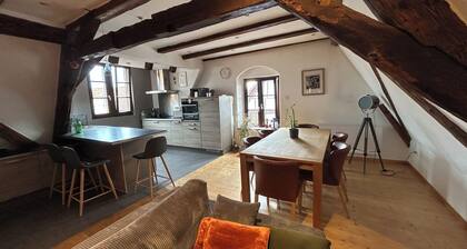 Charmant duplex dans maison de ville alsacienne au cĆur de SĂ©lestat