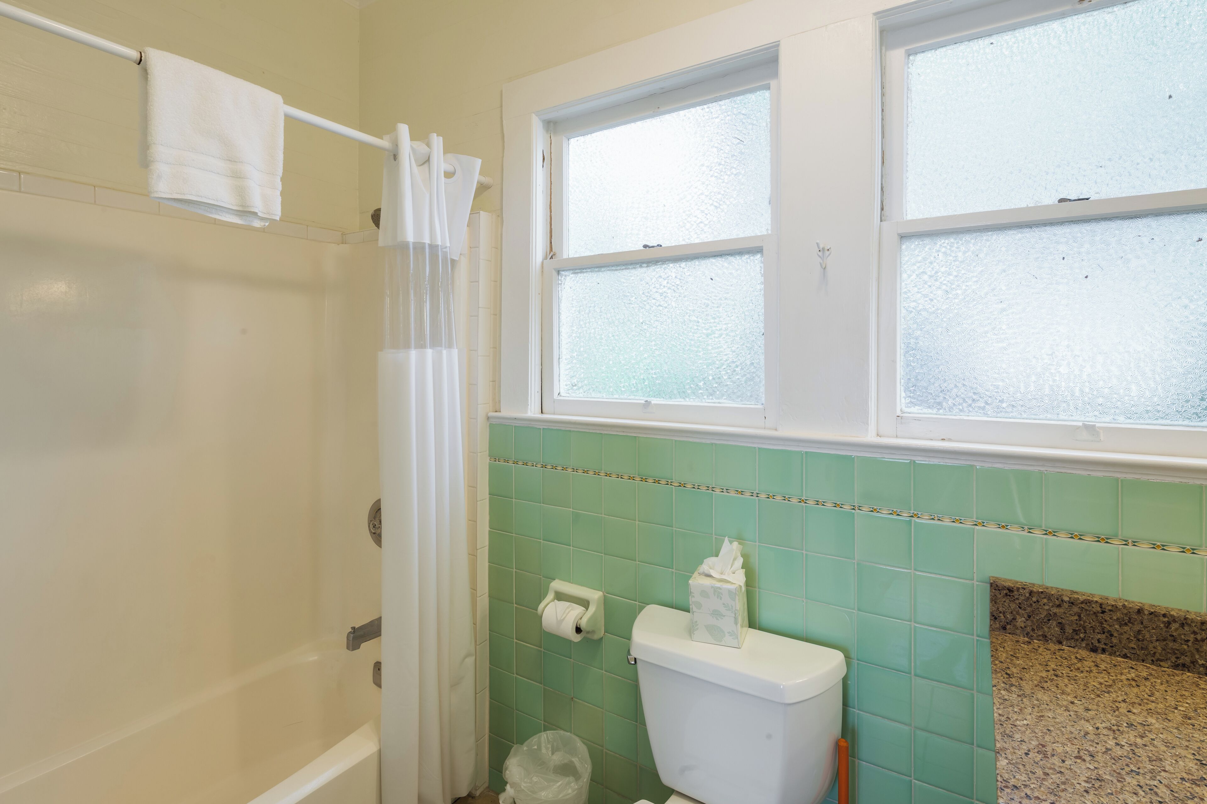 Une salle de bain avec des toilettes, un rideau de douche et une fenêtre.