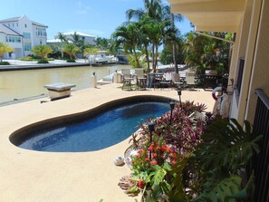 A swimming pool with lounge chairs and tables, surrounded by tropical plants. - Waterfront home with ocean views, dock, & private outdoor pool (Marathon)