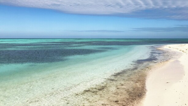 Una playa con agua turquesa cristalina y una orilla arenosa.