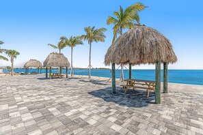 A beachside walkway with thatched umbrellas and palm trees, leading to the sea. - Snowbird-friendly condo in oceanfront complex with heated pool, BBQ, W/D, AC (Marathon)