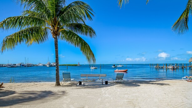 A beach with a palm tree, a bench, and lounge chairs. Boats are visible in the water. - Beautiful, sunlit home with pool, tennis court & beach access - near the marina (Islamorada)