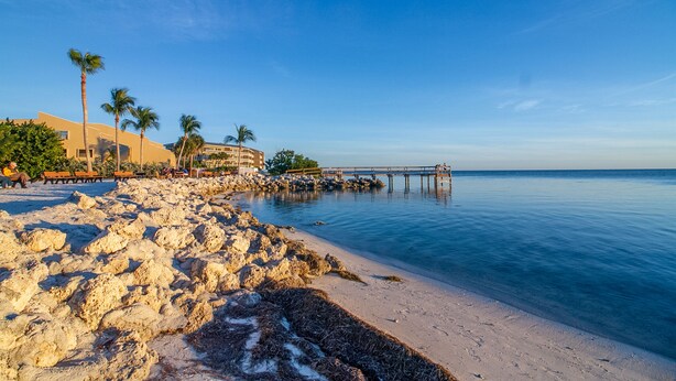 A beach with rocky shore, palm trees, and a pier extending into calm water. - Waterfront home with 60-ft dock, pool, & cabana club access - dog-friendly (Key Colony Beach)