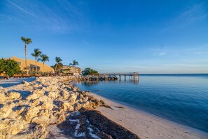 A beach with rocky shore, palm trees, and a pier extending into calm water. - Waterfront home with 60-ft dock, pool, & cabana club access - dog-friendly (Key Colony Beach)