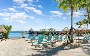 A beach with rows of blue lounge chairs, a palm tree, and a thatched-roof structure. - Breezy condo on the water with pool, hot tub & tennis court (Tavernier)