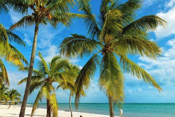 Beach - Welcoming & Conveniently Located Dog-Friendly Home - Walk to Everything (Key West)