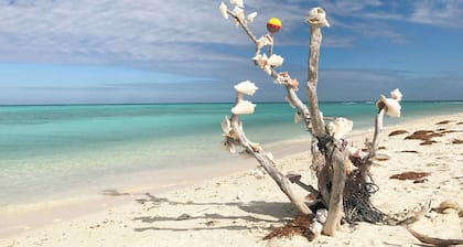 Cozy Cottage with Private Hot Tub, Tranquil Garden & Parking - Dogs OK