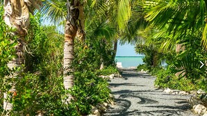 Un sendero que lleva a una playa, rodeado de vegetación exuberante y palmeras.