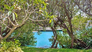 A tree-lined view of a body of water with a dock. - Duck Key waterfront villa with private pool, kayak, SUP (Duck Key)