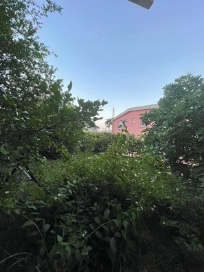 Front of property - Apartments KinGs (Petrovac)