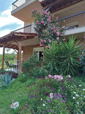 Property grounds - Nouli's Mountainview Haven (Nikiti  Chalkidiki)