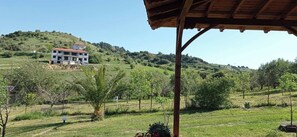 Property grounds - Nouli's Mountainview Haven (Nikiti  Chalkidiki)